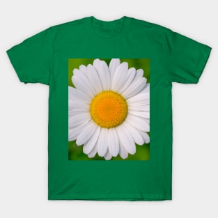 White Flower Minimal Photograph T-Shirt